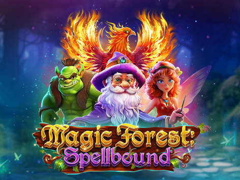 portfolio image template